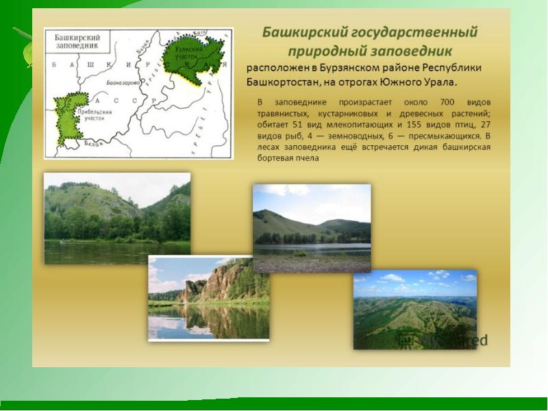 Природные особенности заповедников. Башкирский государственный заповедник в Бурзянском районе. Саргая Бурзянский район заповедник. Башкирский государственный природный заповедник на карте Башкирии. Башкирский заповедник местоположение.