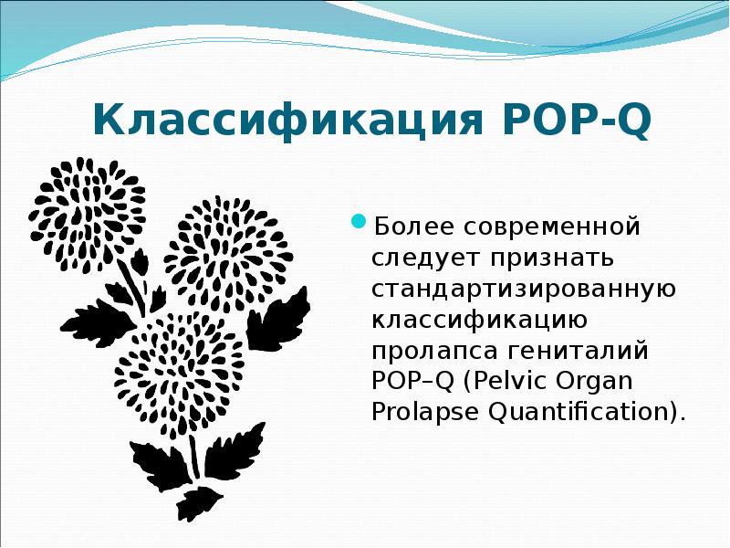 Классификация POP-Q
Более современной следует признать стандартизированную классификацию пролапса гениталий POP–Q Классификация POP-Q
Более современной следует признать стандартизированную классификацию пролапса гениталий POP–Q