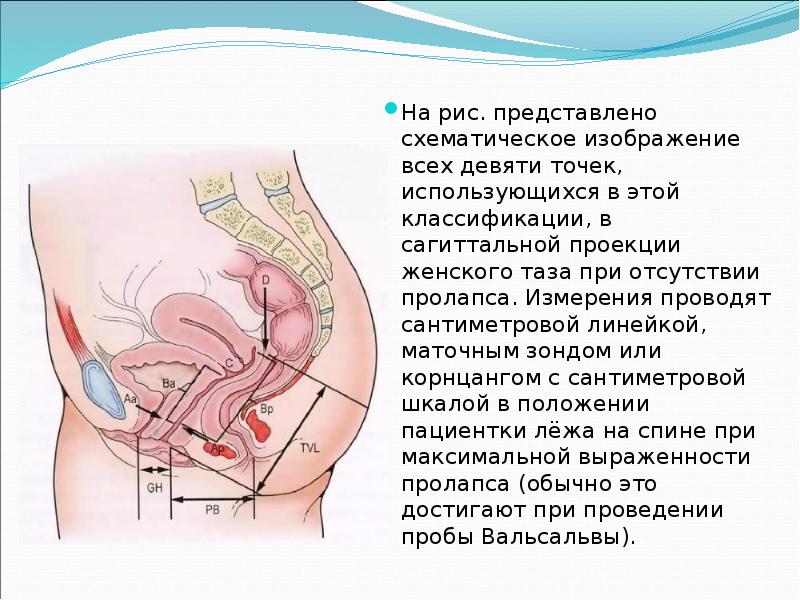 На рис. представлено схематическое изображение всех девяти точек, использующихся в этой На рис. представлено схематическое изображение всех девяти точек, использующихся в этой