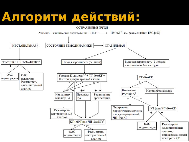 Заполните блок схему аорта