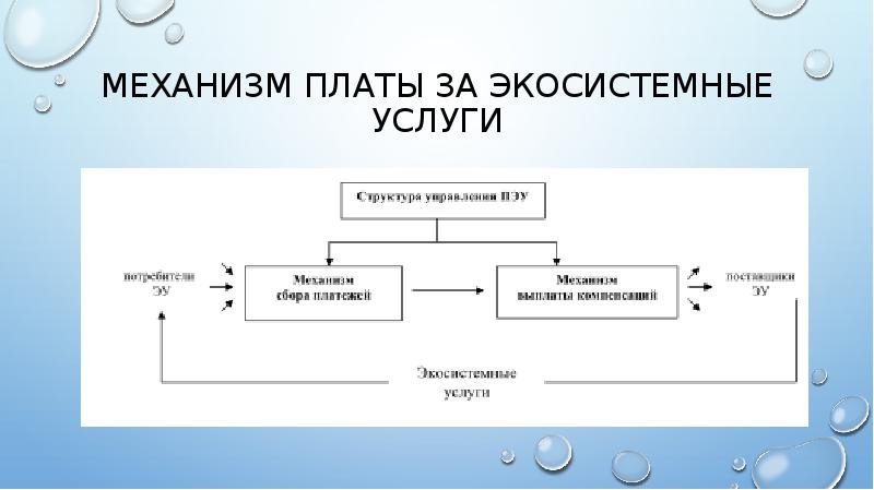 Экосистемная организация природы презентация