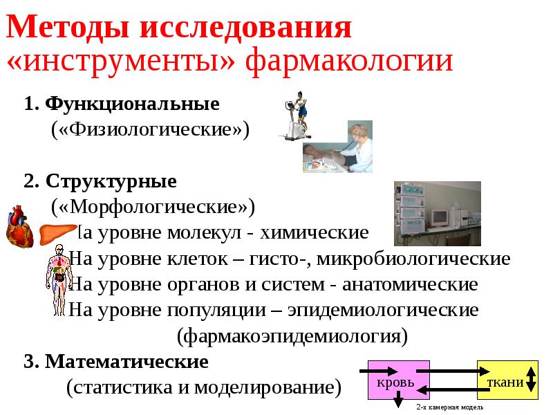 Фармакология лекции. Введение в фармакологию лекция. Фармакодинамика лекция. Фармакодинамика и фармакокинетика лекция. Математические модели в фармакологии.