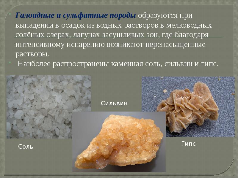 Определите осадочную породу. Сульфатные горные породы. Сульфатные осадочные породы. Галоидные породы. Осадочные породы презентация.