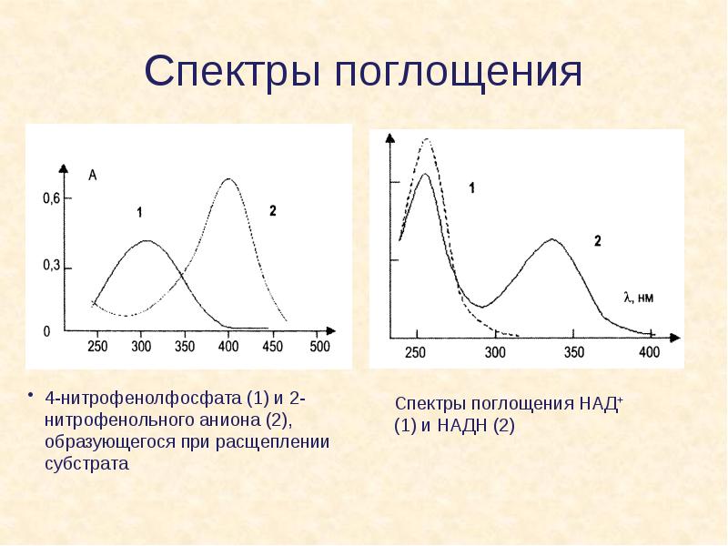 Спектр поглощения картинка