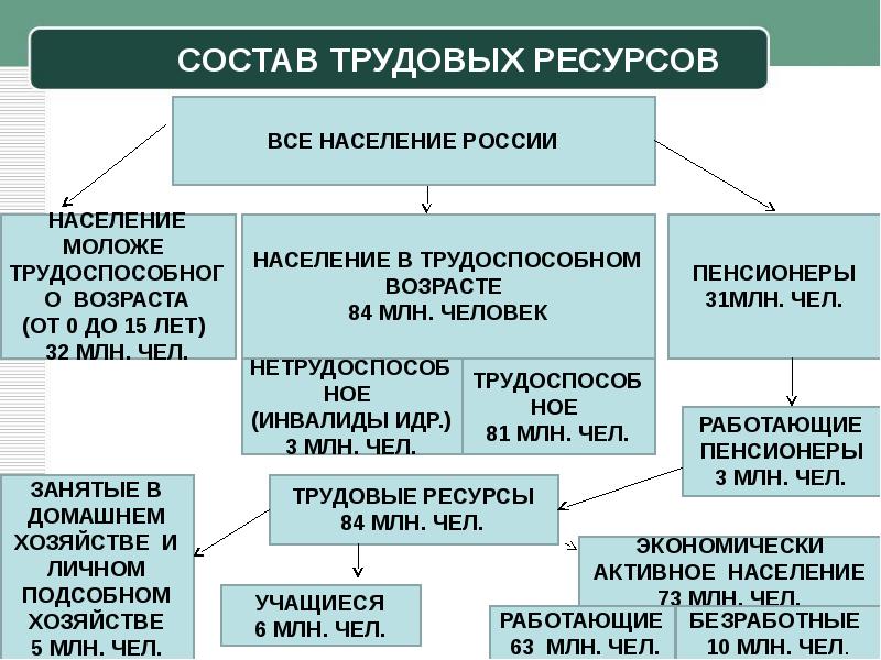 Занятость населения человеческий капитал презентация 8 класс география