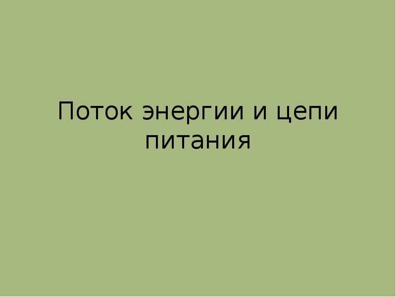 Поток энергии цепи питания презентация по биологии