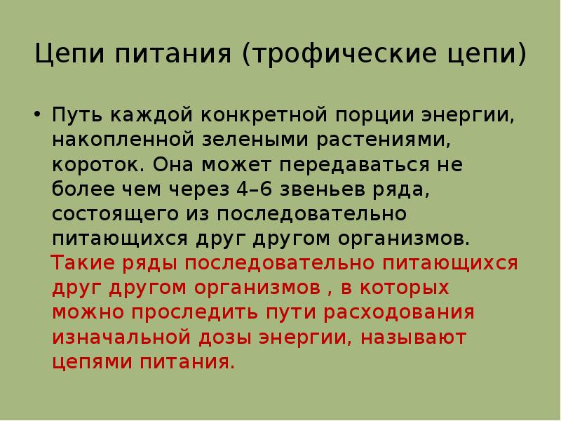 Поток энергии цепи питания презентация по биологии