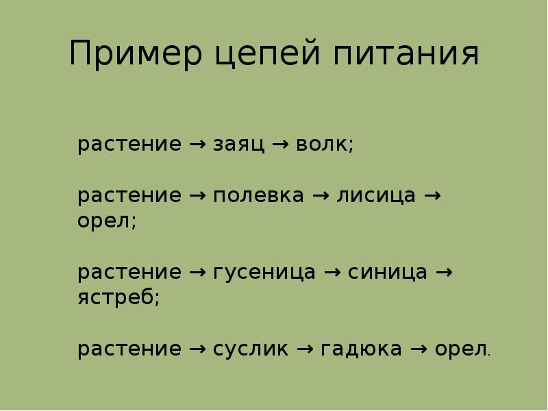 Пищевая цепочка примеры