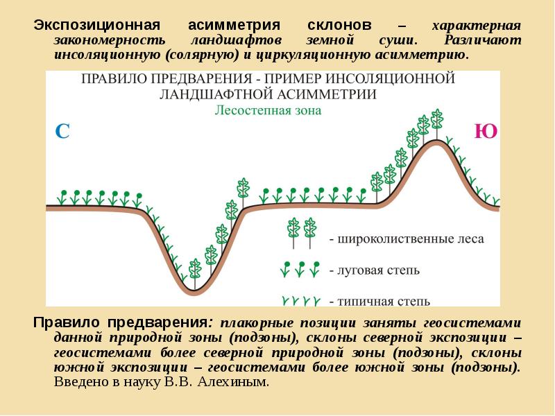 Экспозиционная асимметрия склонов – характерная закономерность ландшафтов земной суши. Различают инсоляционную Экспозиционная асимметрия склонов – характерная закономерность ландшафтов земной суши. Различают инсоляционную