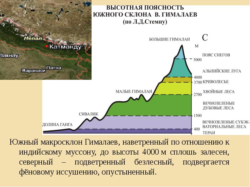 Южный макросклон Гималаев, наветренный по отношению к индийскому муссону, до высоты Южный макросклон Гималаев, наветренный по отношению к индийскому муссону, до высоты