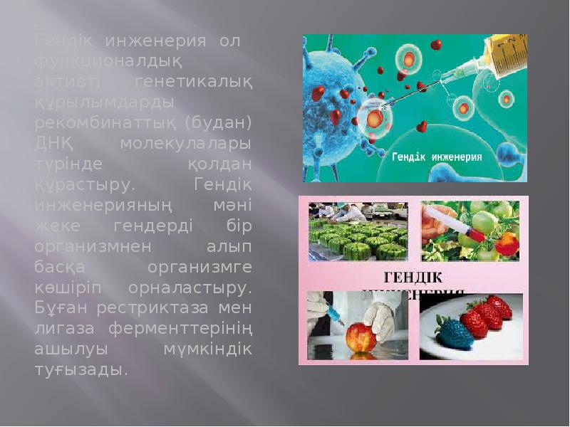.
Гендік инженерия ол функционалдық активті генетикалық құрылымдарды рекомбинаттық (будан) ДНҚ .
Гендік инженерия ол функционалдық активті генетикалық құрылымдарды рекомбинаттық (будан) ДНҚ