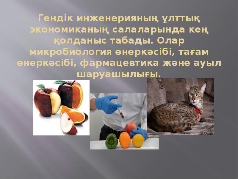 Гендік инженерияның ұлттық экономиканың салаларында кең қолданыс табады. Олар микробиология өнеркәсібі, Гендік инженерияның ұлттық экономиканың салаларында кең қолданыс табады. Олар микробиология өнеркәсібі,