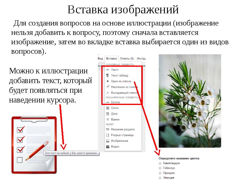 Вставка изображений
Для создания вопросов на основе Вставка изображений
Для создания вопросов на основе