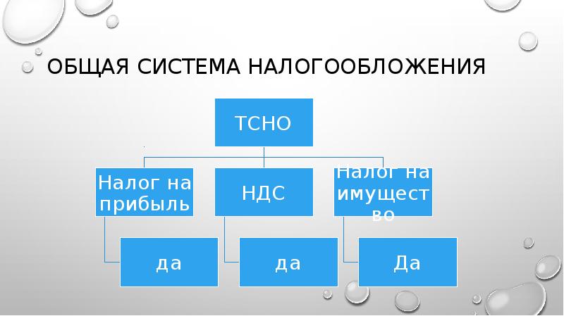 Презентация общая система налогообложения