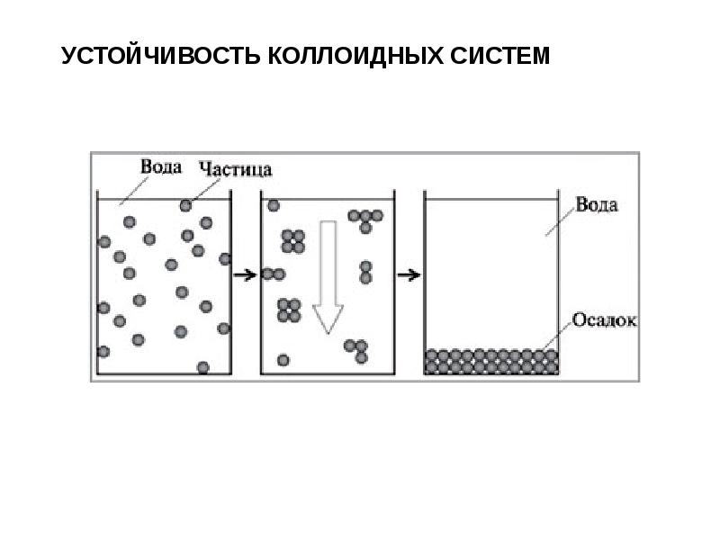 Седиментация белка