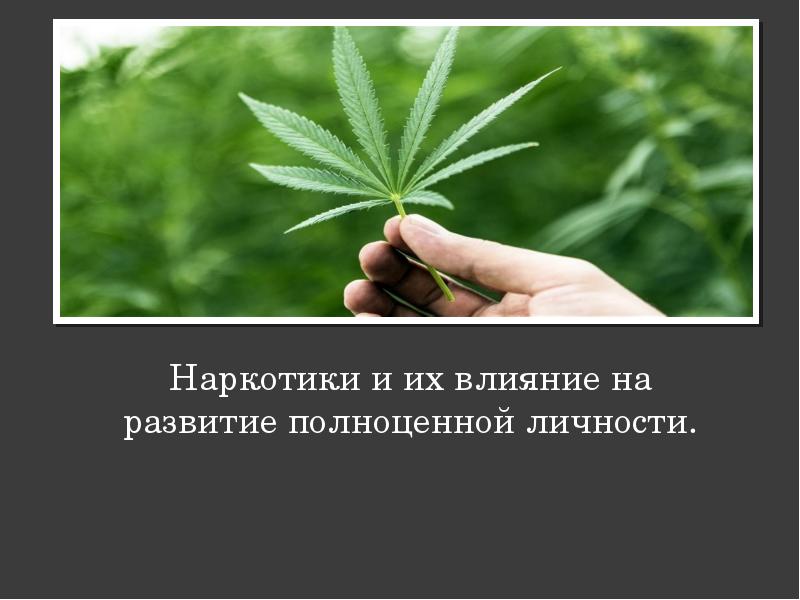 Их влияние. Наркотики и их влияние на развитие полноценной личности. Наркотики и их влияние на развитие здоровой личности. Наркотики и их влияние на развитие здоровой, полноценной личности.. Наркотики и их влияние на развитие полноценной личности презентация.