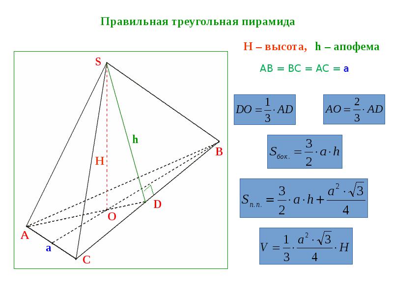 Апофема это в геометрии. Стереометрия 10 класс многогранники. Апофема пирамиды. Геометрия 10 23. 10-Geometriya koʻrgazma oʻzbekcha.