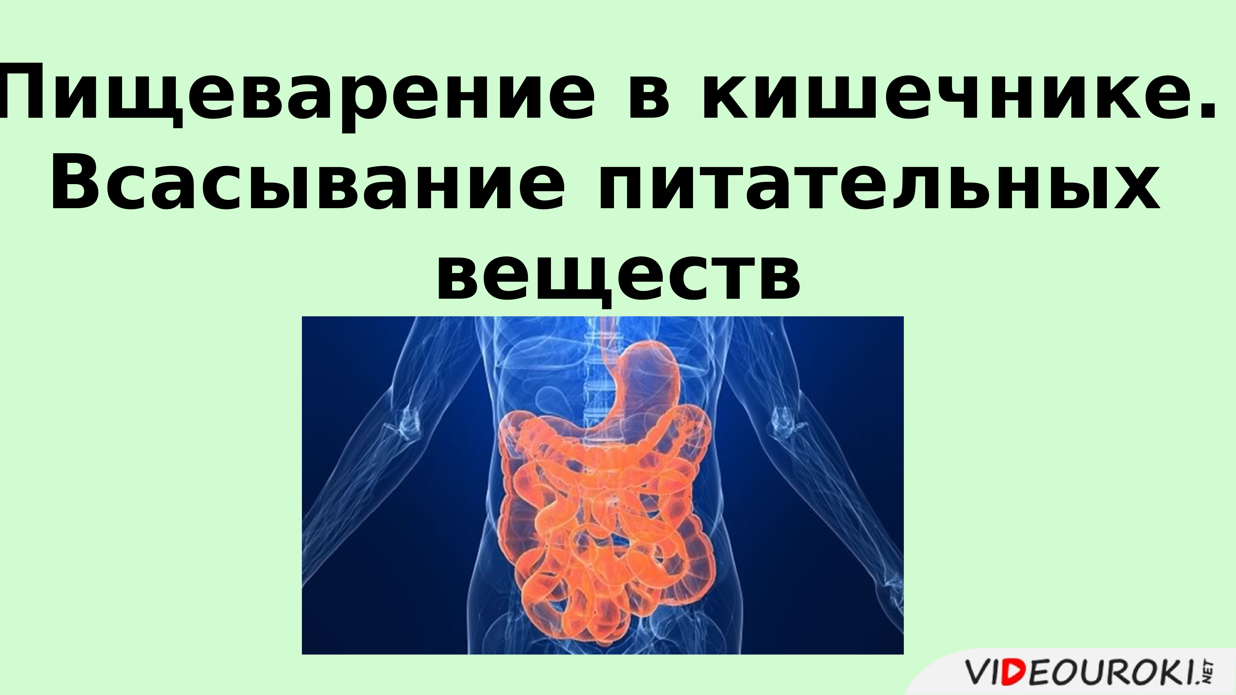 Всасывания веществ. Пищеварение в кишечнике всасывание питательных веществ. Пищеварение в кишечнике всасывание питательных веществ 8 класс. Презентация на тему пищеварение в кишечнике. Механизмы всасывания питательных веществ в процессе пищеварения.