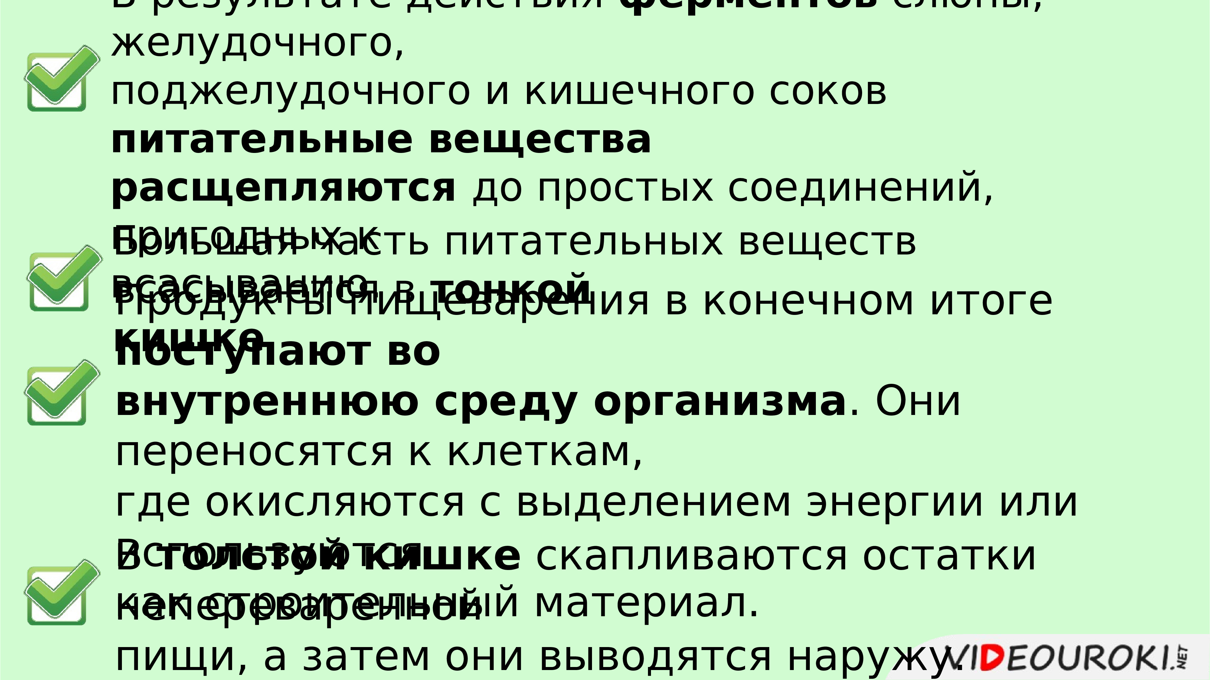 Всасывание питательных веществ в кровь 8 класс презентация пасечник