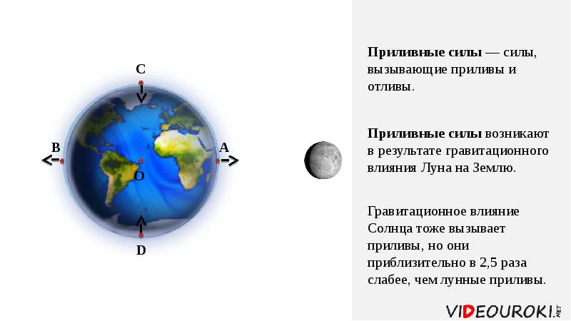 Взаимодействие луны и земли презентация