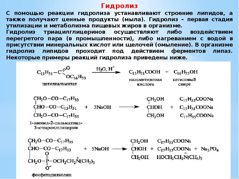 Презентация гидролиз органических веществ