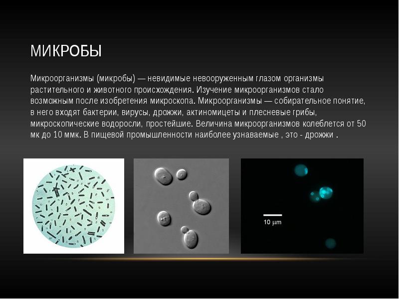 Химия в пищевой промышленности проект