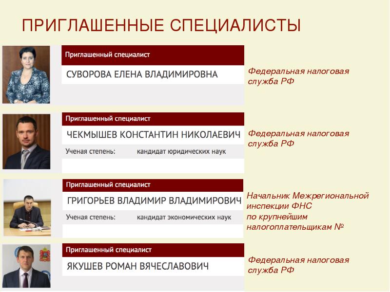 Продвижение фнс проекты