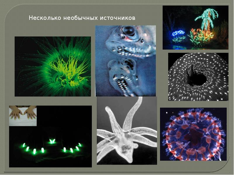 Источники света презентация