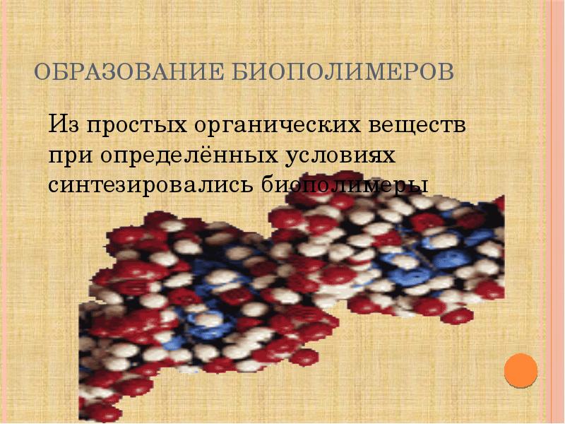 Образование биополимеров