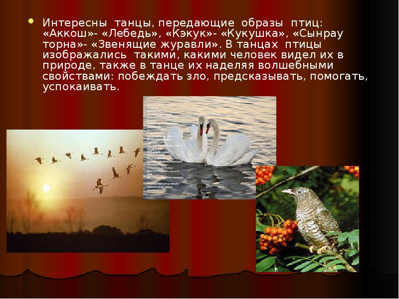 Интересны танцы, передающие образы птиц: «Аккош»- «Лебедь», «Кэкук»- «Кукушка», «Сынрау торна»- Интересны танцы, передающие образы птиц: «Аккош»- «Лебедь», «Кэкук»- «Кукушка», «Сынрау торна»-