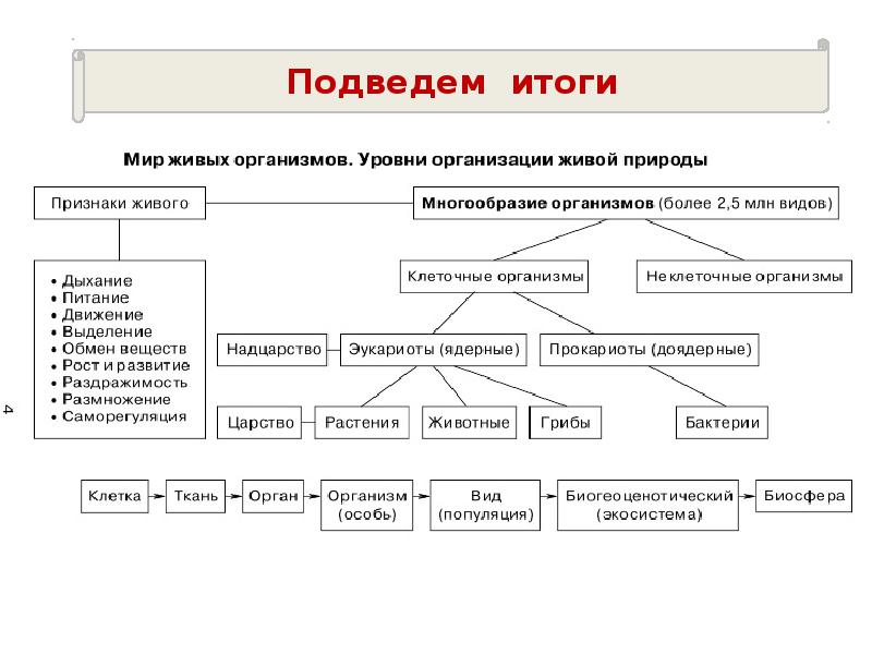 Классификация живых организмов 5 класс биология презентация