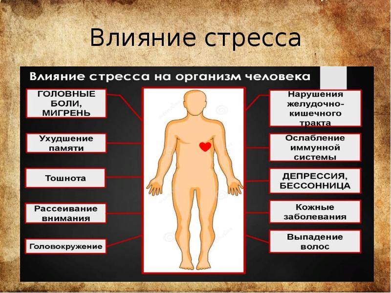 Депрессия проект по биологии