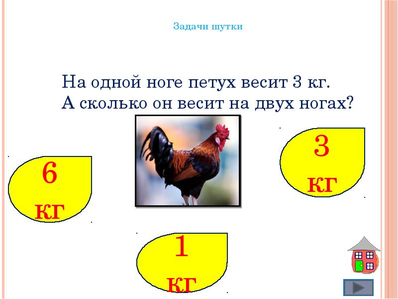 Сколько будет петух. Сколько весит петух. Петух на двух ногах весит. Петух сколько весит на двух ногах петух. Задачи шутки.