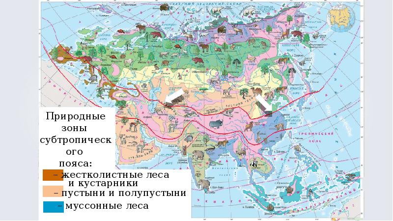 Разнообразие природы евразии презентация