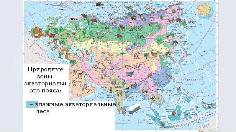 Природные ресурсы материка евразия. Природные зоны Евразии 7 класс география. Карта природных зон Евразии. Карта природные зоны Евразии 7 класс география. Природные зоны Евразии атлас.