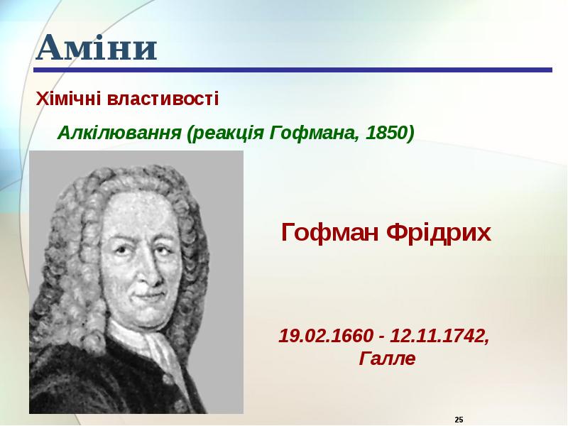 Аміни Аміни