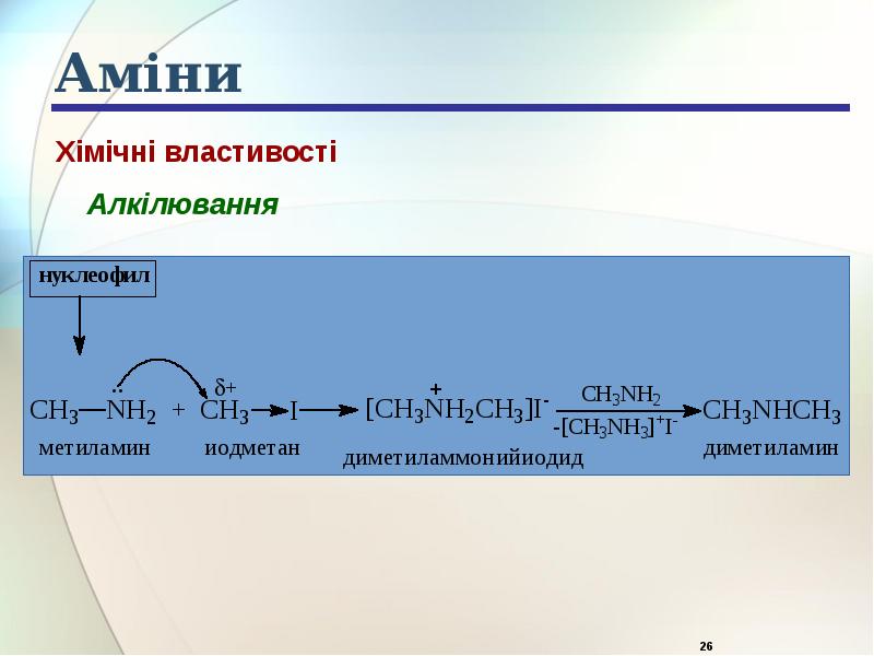 Аміни Аміни