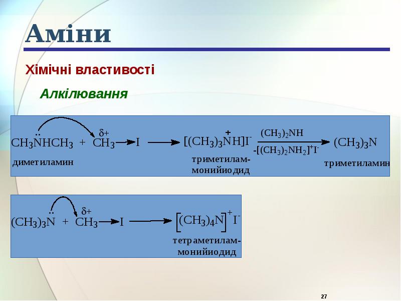 Аміни Аміни
