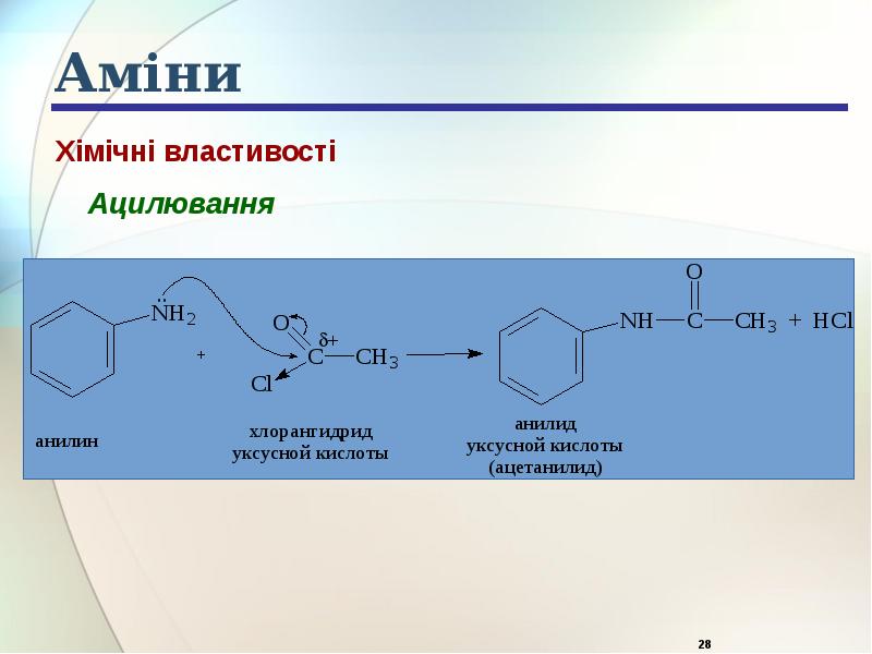 Аміни Аміни
