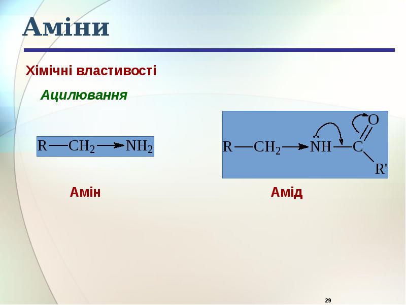 Аміни Аміни
