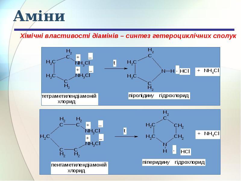Аміни Аміни