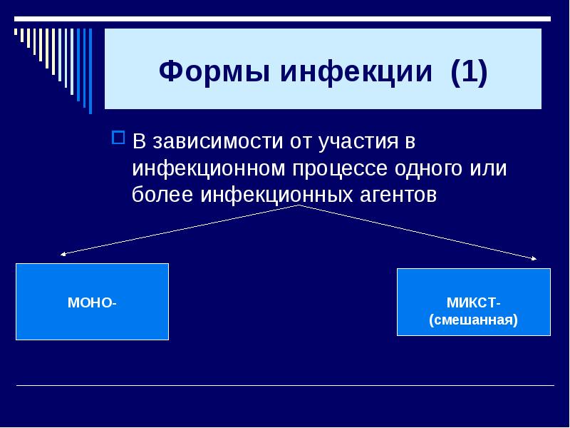 Учение об инфекционном процессе