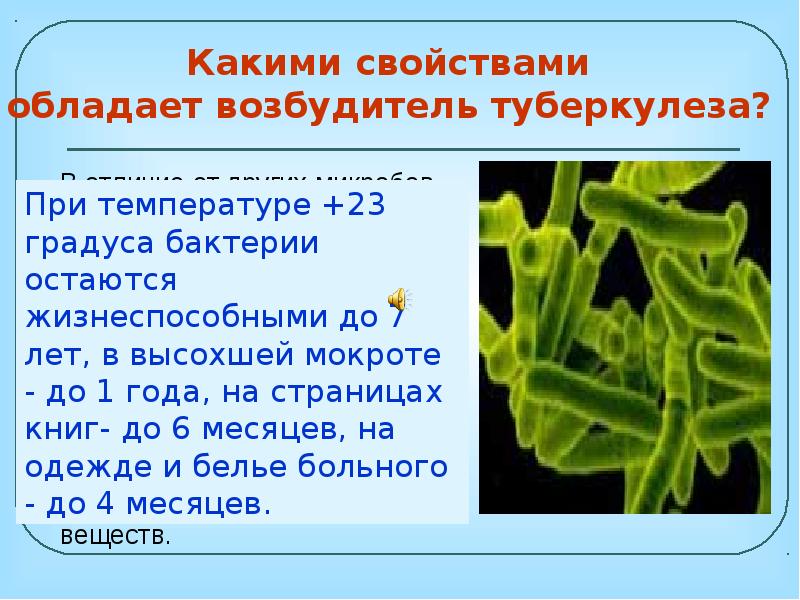 Свойства микобактерий. Характеристика возбудителя туберкулеза. Морфология возбудителя туберкулеза. Морфология микобактерий туберкулеза. Особенности микобактерии туберкулеза.