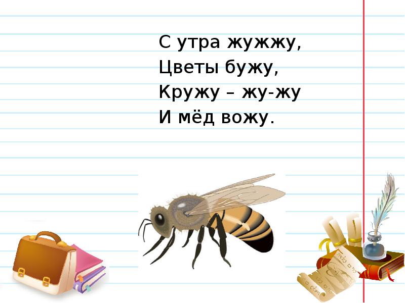 Прочитайте загадку спишите не жужжу когда сижу. С утра жужжу цветы бужу. С утра жужжу цветы бужу кружу кружу мед вожу. Жужжащее чтение 1 класс. Жужжу жужжу жужжу жужжу жужжу.