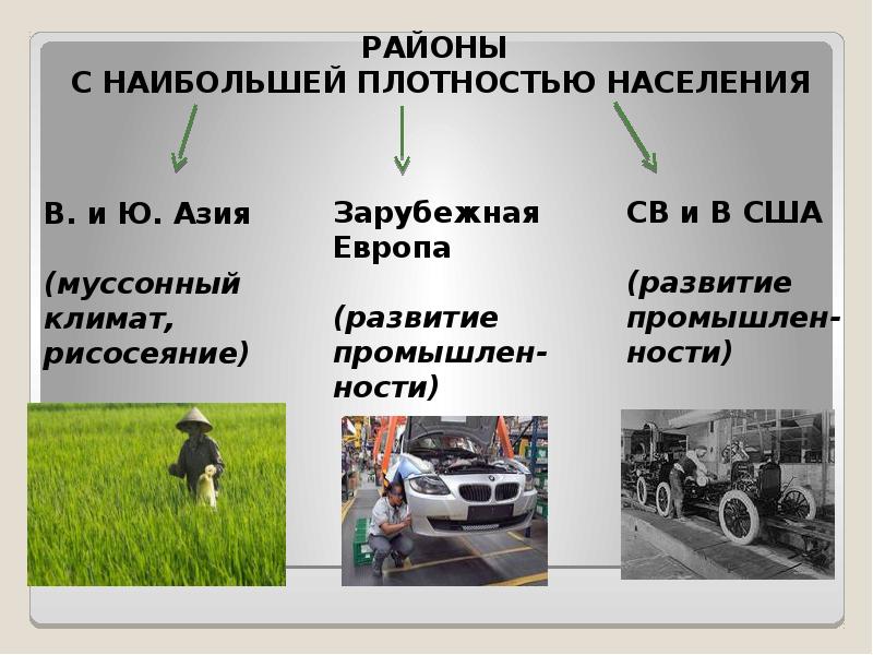 Транспорт население. Рисосеяние ведущая отрасль растениеводства в. Причины формирования высокой плотности населения. Факторы влияющие на плотность населения 5 класс география. Районы рисосеяния.