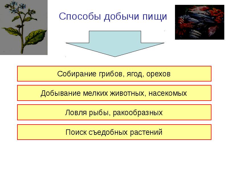 Предложите способы