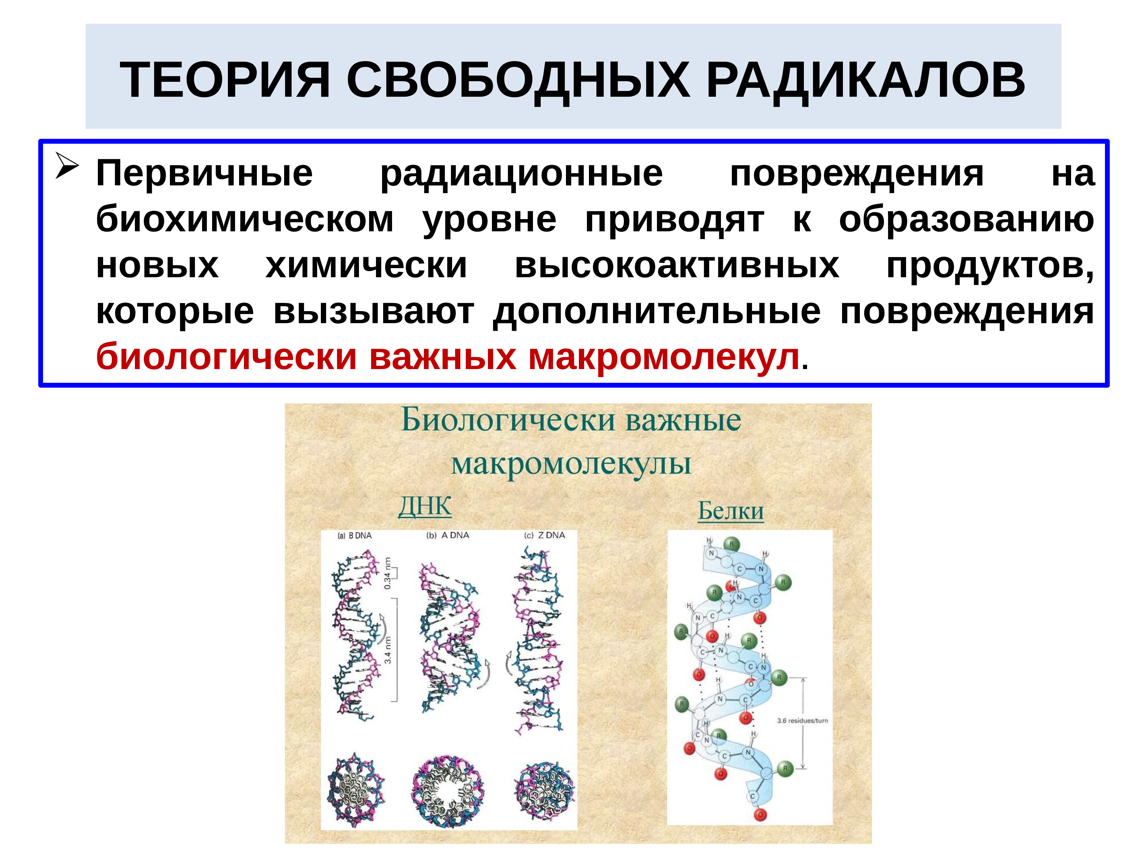 Презентация на тему радикалы