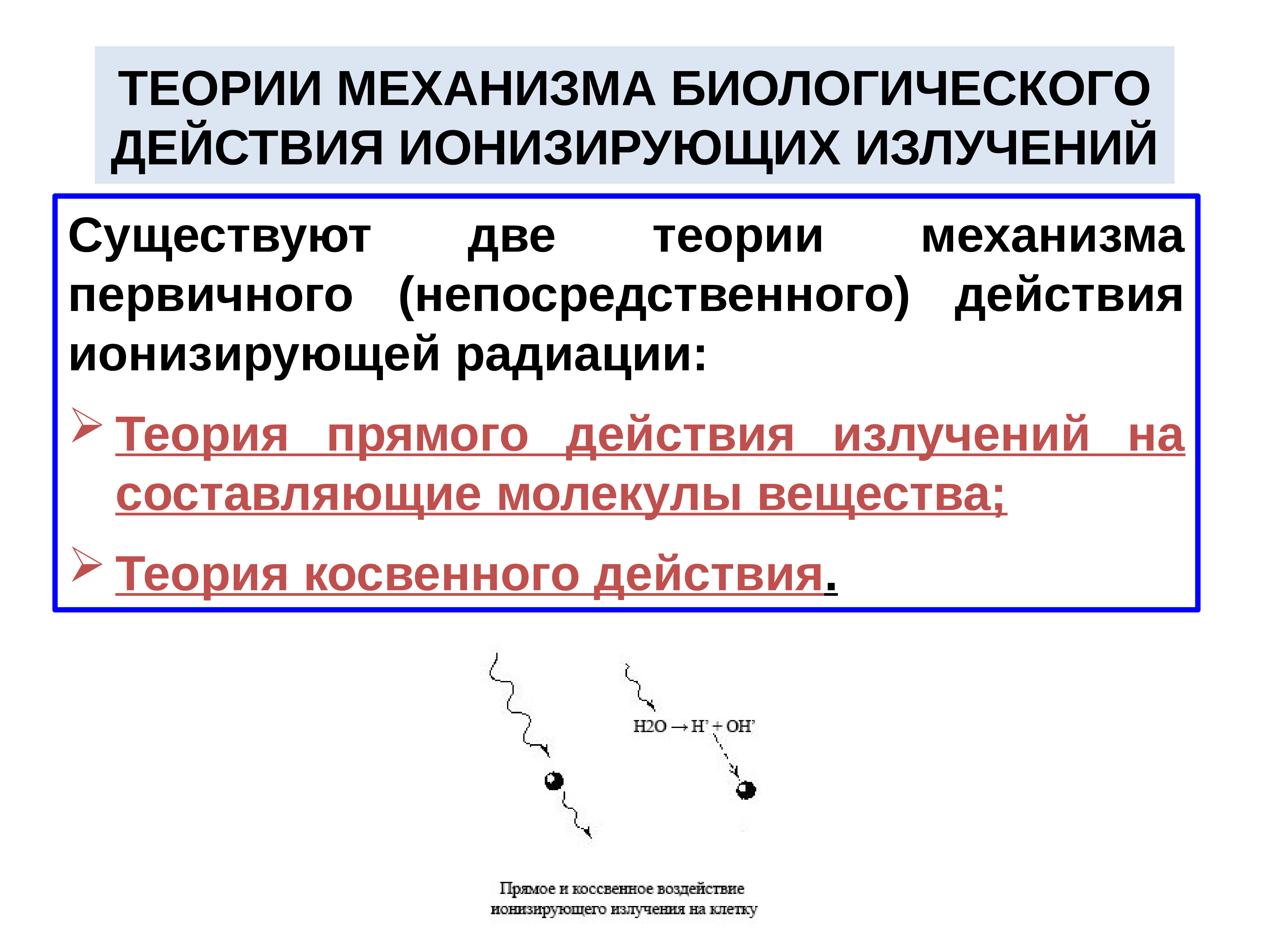 Биологическое действие ионизирующих излучений презентация