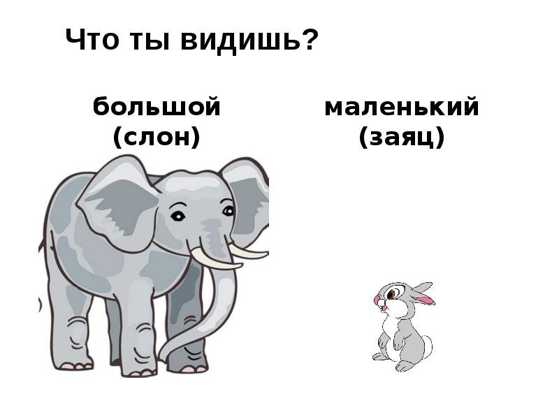 Ты видишь. Большое спасибо слон. Противоположные по смыслу слова слон. Слон больше бегемота но меньше зайца кто выше всех. Как я видел большого слона составить диалог.