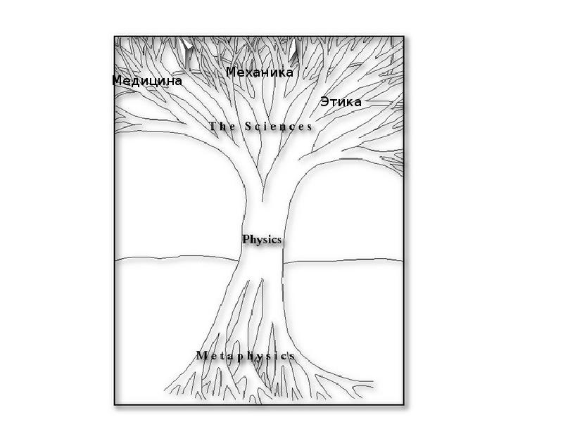 дерево порфирия логика. изобразить древо философии. древо знаний. дерево по философии. древо философии.